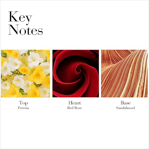 Perfume Elizabeth Arden Red Door 100 ml